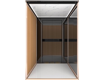 Custom Home Elevators by IFE: Tailored Luxury & Smart Mobility Solutions